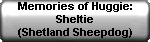 Memories of Huggie: Sheltie (Shetland Sheepdog)